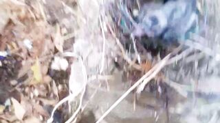 From the 4 and of food on the type tree I will be back in ???? on