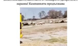 КАМПАНИЯ ЗА ПОДПОМАГАНЕ НА  ЖИВОТНОВЪДИТЕ В САКАР