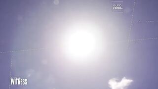 Sécheresse, canicule, désertification : la Sicile en première ligne face au réchauffement climatique