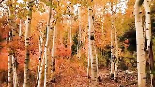 Nature Beauty_Nature Beauty Planet