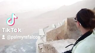 Palmyra 26