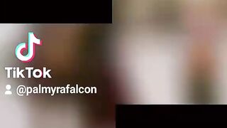 Palmyra 27