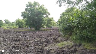 Machine agricole