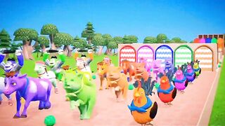 Mex animal cartoon video