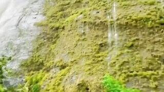 waterfall in the mountains