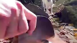 سمك مطهو على البخار في الغابه