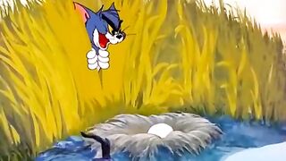 Tom and Jerry cartoon 93