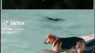 Rishty aor mosam ek jasy han