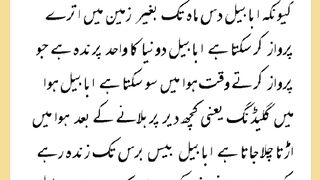 شرعی مسائل اور ان کا حل 345