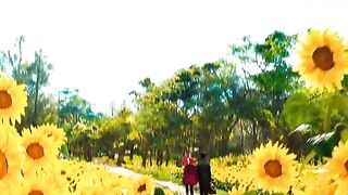 Top movie video part 4
