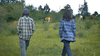 Couples Walk