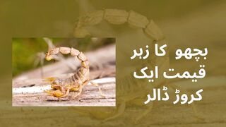 Scorpion venom worth one million dollars.