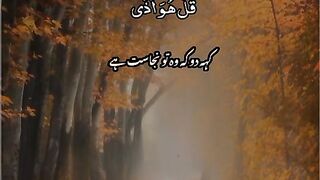 HOLY QURAN