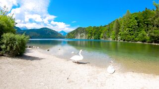 Nature Beauty 0078