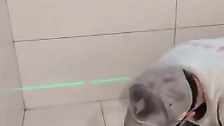 Tile installation
