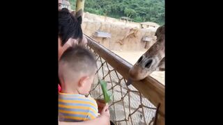Funniest Epic Fails  PART 1