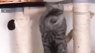 funny scene