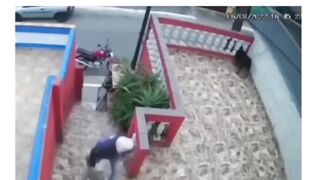 A sorte dele é que o cachorro é fofoqueiro