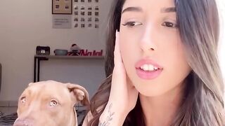 as expressões mudando ????️ #pitbull#animaisfofos