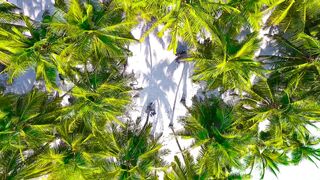 Beauty of Nature