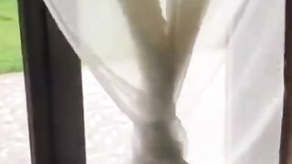 funny animals part #7