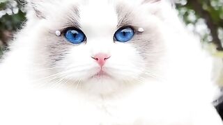 Ever seen such beauty????