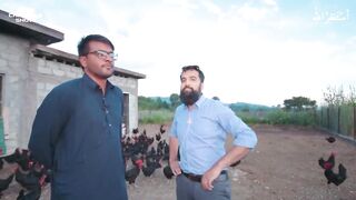 Chicken Farming Free Course.