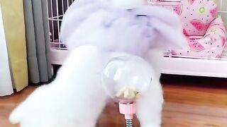 Where is my food???????????????