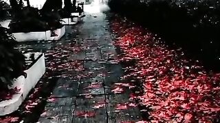 Beautiful view of nature
