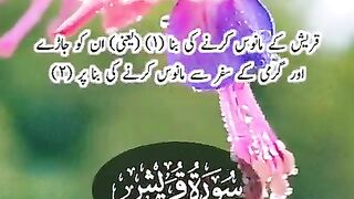 Viral plz