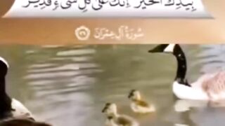 Subha Àllah