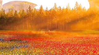 Top movie video part 30