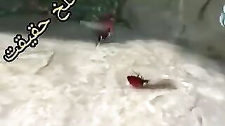 تلخ حقیقت 4