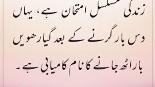 Urdu beautiful quotes 17