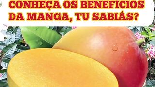 Excelência da maça