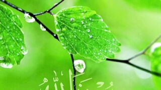 Surah fajer