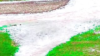 3008,status,status video,status song,status whatsap,beast song,good song,video,natural 2