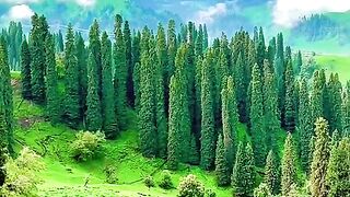 3018,status,status video,status song,status whatsap,beast song,good song,video,natural