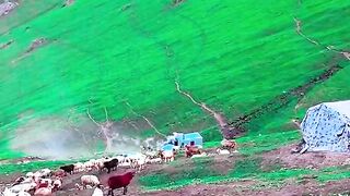 3021,status,status video,status song,status whatsap,beast song,good song,video,natural