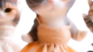 Cat Motorcycle Dance