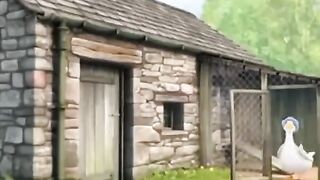 Funny cartoons videos for kids