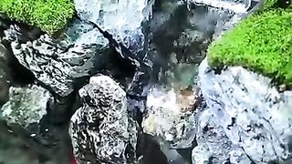 Aquascape 13