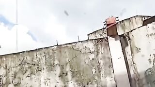 Meme funny video new 2024
