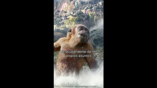 GODZILLA X KONG THE NEW EMPIRE _Kong Prepares Breakfast For Suko_ Trailer (NEW 2024).