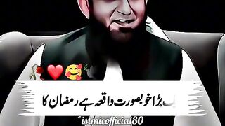 Mulana Tariq Jamil 2