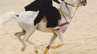 Surah al adiyat 2