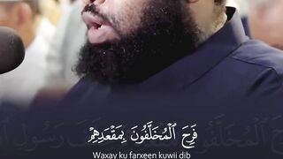 Suraa Tawbaa    Beautiful Recitation