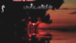 Humari pusht py