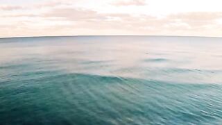 The endless ocean batch