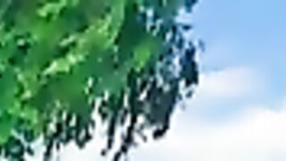 A very favorite piano song The Wind Rises